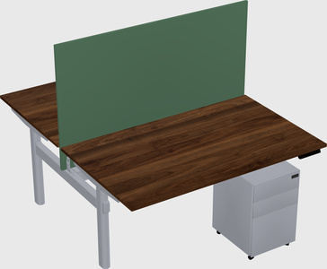 Shared electric desk