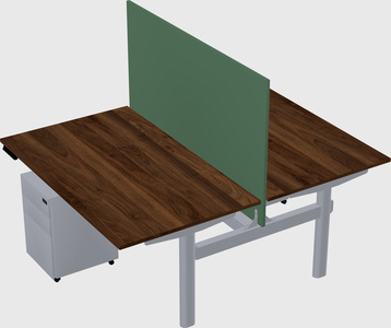 Shared electric desk