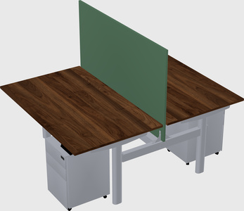Shared electric desk