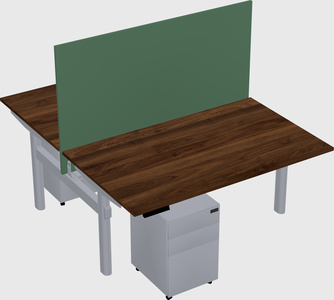 Shared electric desk