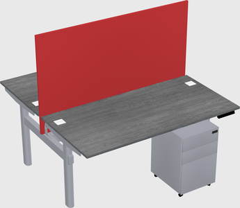 Shared electric desk