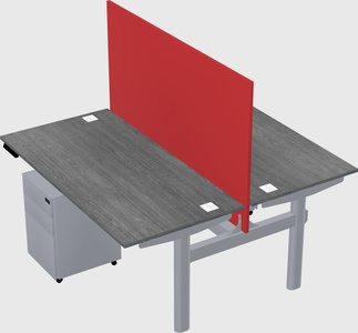 Shared electric desk