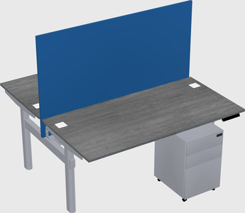 Shared electric desk
