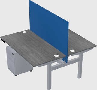 Shared electric desk