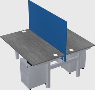 Shared electric desk