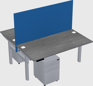 Shared electric desk