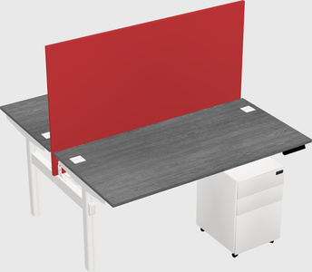 Shared electric desk