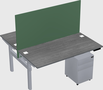 Shared electric desk