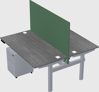 Shared electric desk