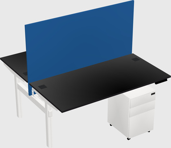 Shared electric desk