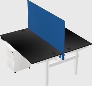 Shared electric desk