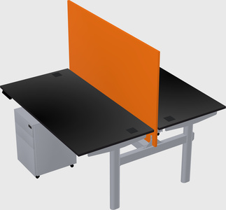 Shared electric desk