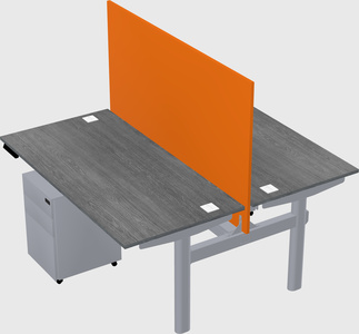 Shared electric desk