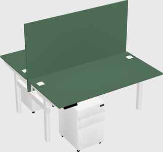 Shared electric desk