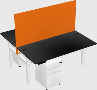 Shared electric desk