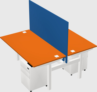 Shared electric desk