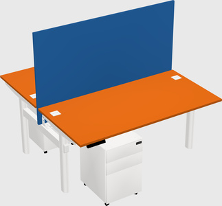 Shared electric desk