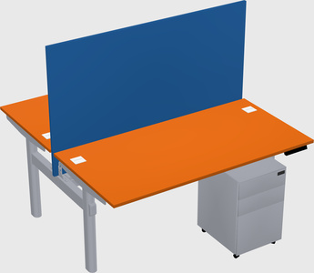 Shared electric desk