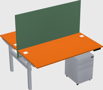 Shared electric desk