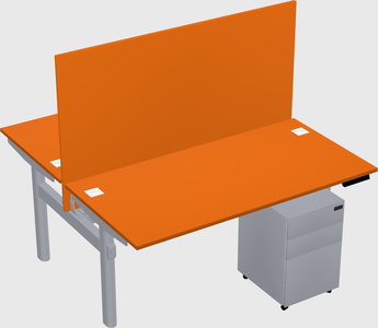 Shared electric desk