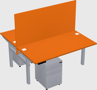 Shared electric desk