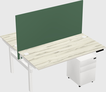 Shared electric desk
