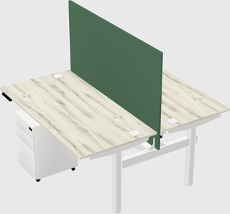 Shared electric desk