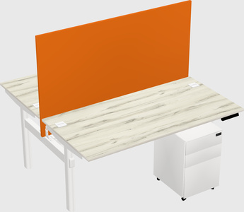Shared electric desk