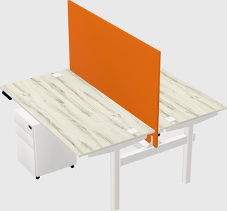 Shared electric desk