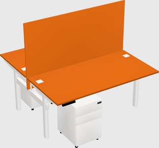 Shared electric desk