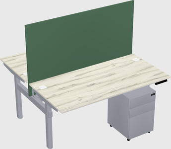 Shared electric desk