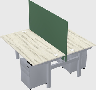 Shared electric desk