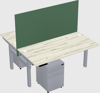 Shared electric desk