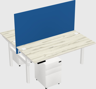 Shared electric desk