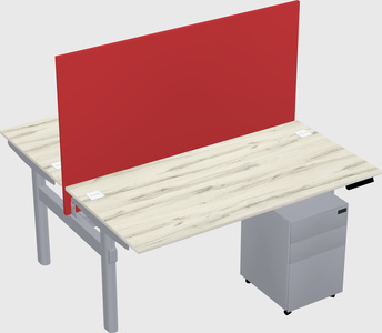 Shared electric desk