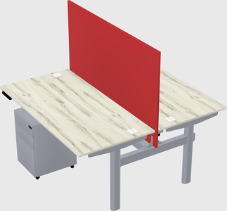 Shared electric desk