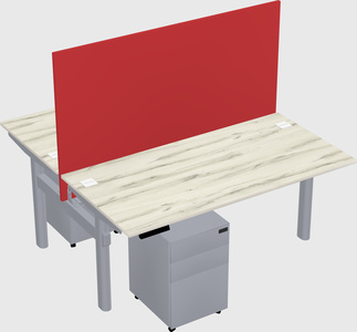 Shared electric desk