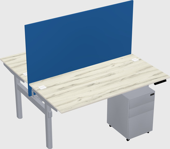 Shared electric desk
