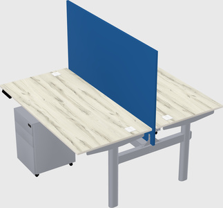 Shared electric desk