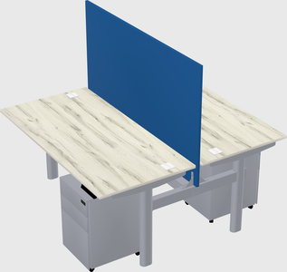 Shared electric desk