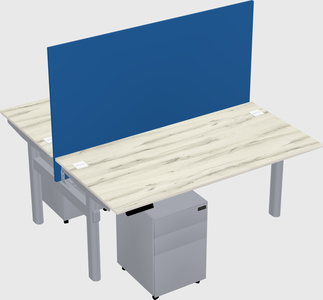 Shared electric desk