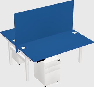 Shared electric desk