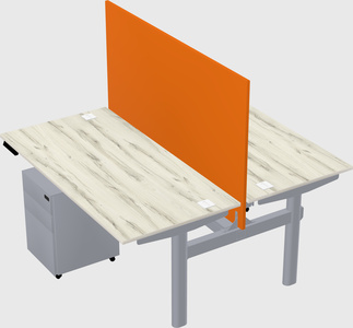 Shared electric desk