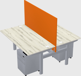 Shared electric desk