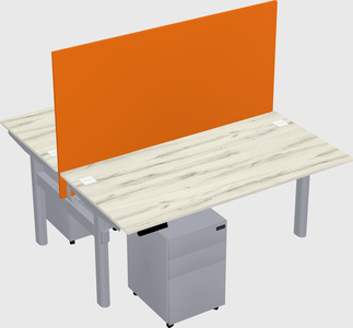 Shared electric desk