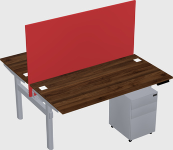 Shared electric desk