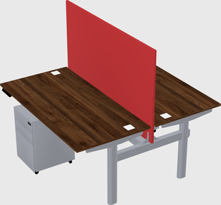 Shared electric desk