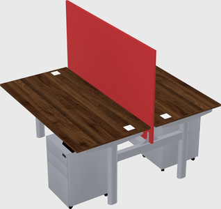 Shared electric desk