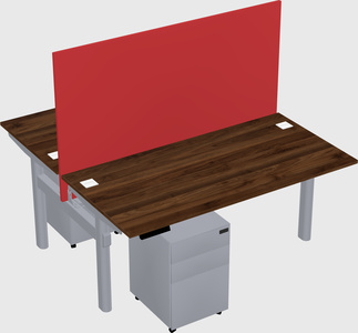 Shared electric desk