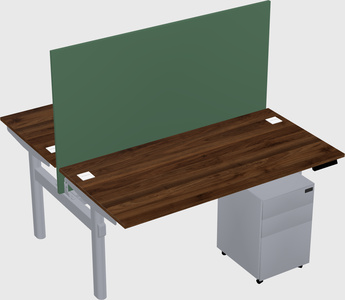 Shared electric desk